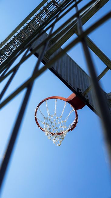 女子排名：申珍妮夺冠升至36位 王培红闯入前500